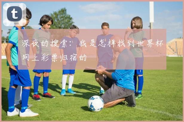 深夜的搜索：我是怎样找到世界杯网上彩票归宿的
