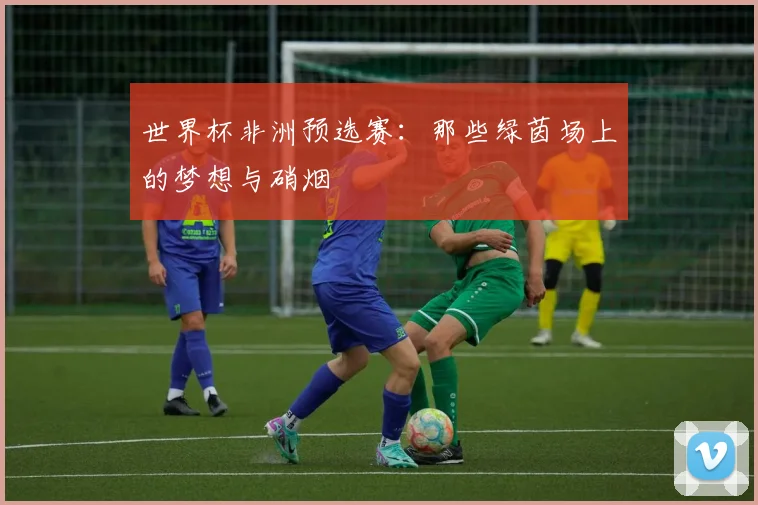 世界杯非洲预选赛：那些绿茵场上的梦想与硝烟