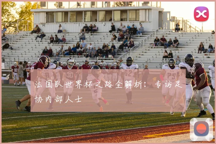 法国队世界杯之路全解析：专访足协内部人士